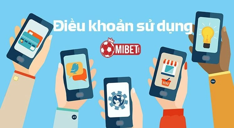 Lời khuyên về điều khoản và điều kiện Mibet