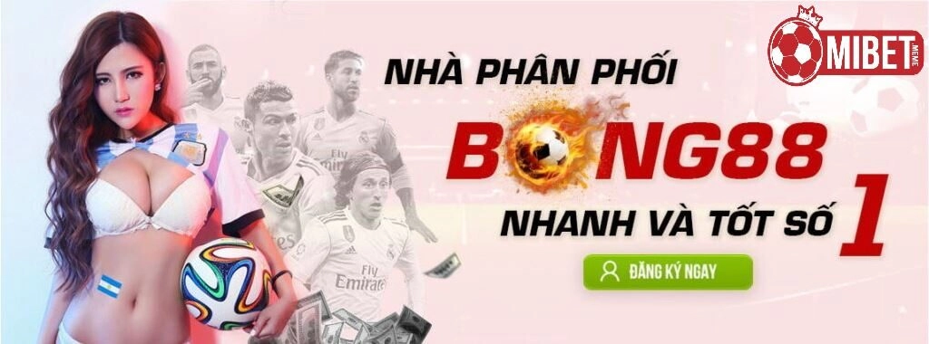 Những lưu ý khi áp dụng khuyến mãi Mibet